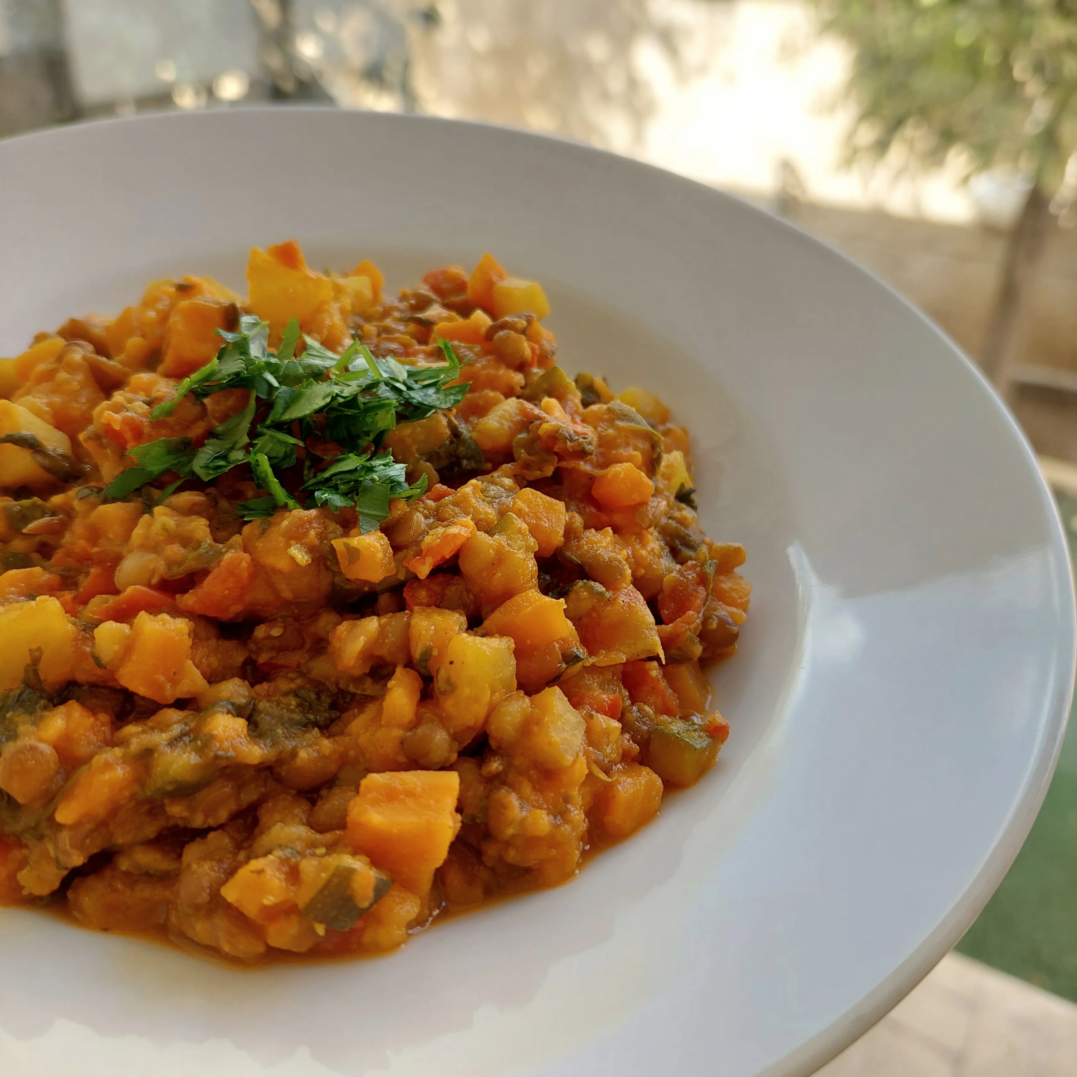 IBS Friendly Lentil Stew